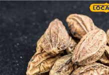 पाचन से लेकर इम्यूनिटी तक, हरड़ क्यों है इतनी खास? शरीर को शुद्ध करती है, जानिए इसके फायदे – Uttarakhand News