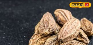 पाचन से लेकर इम्यूनिटी तक, हरड़ क्यों है इतनी खास? शरीर को शुद्ध करती है, जानिए इसके फायदे – Uttarakhand News