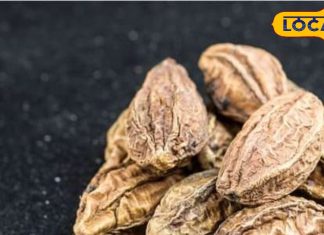 पाचन से लेकर इम्यूनिटी तक, हरड़ क्यों है इतनी खास? शरीर को शुद्ध करती है, जानिए इसके फायदे – Uttarakhand News