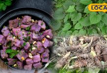 रतालू उगाने के आसान तरीके और सर्दियों में इसके फायदे जानें.