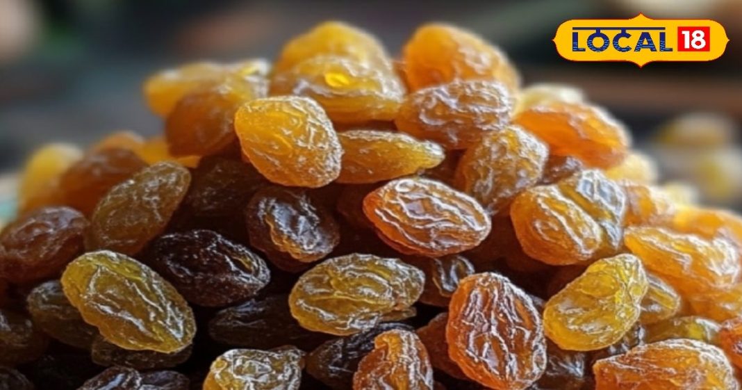 लिवर साफ, हड्डियां मजबूत! सुबह-सुबह खाली पेट किशमिश के जादुई लाभ, ये छोटी सी आदत रखेगी निरोग – Uttar Pradesh News