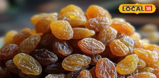 लिवर साफ, हड्डियां मजबूत! सुबह-सुबह खाली पेट किशमिश के जादुई लाभ, ये छोटी सी आदत रखेगी निरोग – Uttar Pradesh News