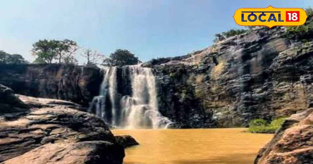 नए साल में मिलेगी स्वर्ग वाली फीलिंग, बजट में होगी ट्रिप, ये है कोरबा की 7 बेस्ट प्लेस