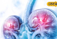 शुगर के मरीज कैसे बचाएं अपनी किडनी, छोटी सी गलती भी खराब कर डालेगी गुर्दा, जानें एक्सपर्ट डॉक्टर के टिप्स – Uttar Pradesh News