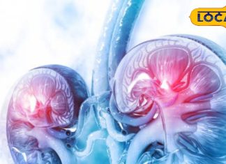 शुगर के मरीज कैसे बचाएं अपनी किडनी, छोटी सी गलती भी खराब कर डालेगी गुर्दा, जानें एक्सपर्ट डॉक्टर के टिप्स – Uttar Pradesh News