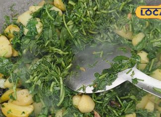 विटामिन ए, सी, मैग्नीशियम, सेलेनियम से भरपूर होता है मेथी का साग, सर्दियों में सेहत के लिए है रामबाण