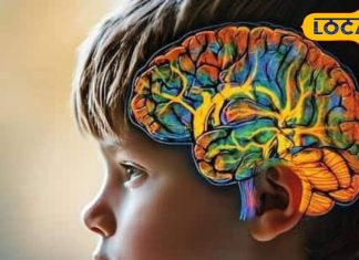 ठंड में बच्चों को खिला दें ये खास चीज! कंप्यूटर से तेज हो जाएगा आपके बच्चे का दिमाग – Uttar Pradesh News