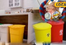 घर का वास्तु बिगाड़ सकता है कूड़ेदान, गलत दिशा में रखने से बढ़ता है तनाव, जानें रखने का सही नियम और जगह