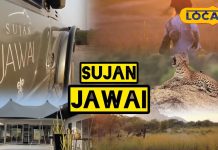 Sujan Jawai | Jawai Leopard Safari | Sujan Jawai Luxury Camp | Leopard Tent Suite | Jawai Jungle Resort | Leopard View Resort | Sujan Jawai Price