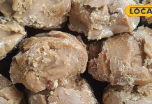 घर में रखा गुड़ हो जाता है खराब, अपनाएं ये 6 कारगर तरीके, सालों साल रहेगा सुरक्षित और हेल्दी – Uttar Pradesh News