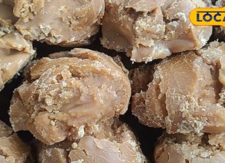 घर में रखा गुड़ हो जाता है खराब, अपनाएं ये 6 कारगर तरीके, सालों साल रहेगा सुरक्षित और हेल्दी – Uttar Pradesh News