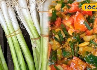 हरी प्याज क्यों मानी जाती है सेहत का खजाना? जानें सर्दियों में इसके सेवन के जबरदस्त फायदे