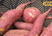 Sweet Potato Benefits in Winter | Blood Circulation Food | Skin Care Winter Diet | Sweet Potato for Skin | Healthy Winter Superfood | Immunity Boosting Foods