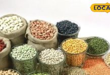 Health Tips: किस बीमारी में कौन सी दाल खाएं, यहां जानिए खाने का सही तरीका और हेल्थ बेनिफिट्स