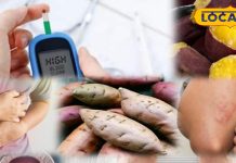 सेहत के लिए फायदेमंद है शकरकंद, लेकिन ज्यादा खाने से हो सकते हैं 3 बड़े नुकसान, जानें कौन बरतें सावधानी