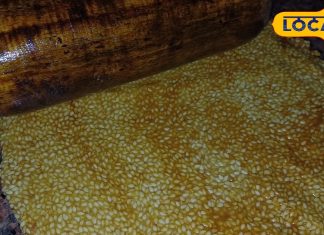 ठंड में मीठा खाने का मन है? तिल-गुड़ की पट्टी देगी गर्माहट और एनर्जी दोनों, ऐसे होती है तैयार – Uttar Pradesh News