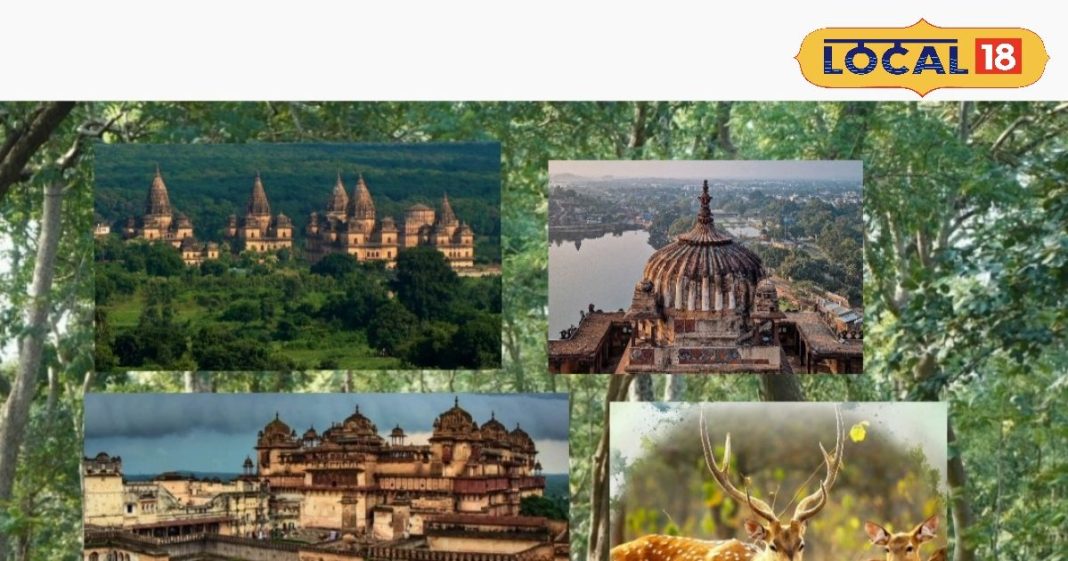 न्यू ईयर पर स्वर्ग जैसा सुकून! बुंदेलखंड की ये खूबसूरत जगहें बना देंगी ट्रिप यादगार – Madhya Pradesh News