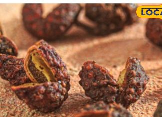 दांत दर्द से तड़प रहे हैं? पहाड़ों के तिमूर में इसका चमत्कारी इलाज, ये सदियों पुराना सच्चा डेंटिस्ट – Uttarakhand News