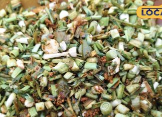 सर्दियों के लिए परफेक्ट! आम-नींबू नहीं इन हरी पत्तियों से बनाएं लाजवाब अचार, चांटते रह जाएंगे उंगलियां – Uttar Pradesh News