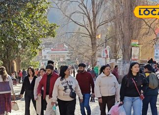 Nainital News : नए साल से पहले ही नैनीताल गुलजार, शाम ढलते ही जगमगा रहा माल रोड, पिछली बार सब ठंडा था, कैसे बदली इस बार फिजा