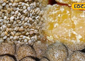 दादी की विधि से तिल के लड्डू रेसिपी | Til Laddu Traditional Recipe Makar Sankranti Special