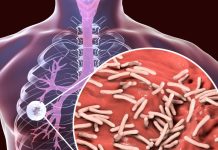 How TB Bacteria Evade Antibiotics IIT Bombay Study Finds | टीबी बैक्टीरिया दवाओं को कैसे देते हैं धोखा IIT बॉम्बे की स्टडी में खुलासा