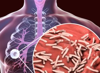 How TB Bacteria Evade Antibiotics IIT Bombay Study Finds | टीबी बैक्टीरिया दवाओं को कैसे देते हैं धोखा IIT बॉम्बे की स्टडी में खुलासा