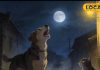Is the crying of a dog or cat a bad omen at night? Do these animals have invisible powers? Know the truth here. – Uttar Pradesh News