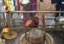 Magistrate Mahadev Kacheri is held in Gwalior providing relief from court proceedings | न दलील, न वकील…यहां लगती है मजिस्ट्रेट महादेव की कचहरी, हर विवाद पर इनका फैसला अंतिम, कोर्ट-कचहरी से मिलती है मुक्ति