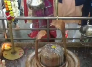 Magistrate Mahadev Kacheri is held in Gwalior providing relief from court proceedings | न दलील, न वकील…यहां लगती है मजिस्ट्रेट महादेव की कचहरी, हर विवाद पर इनका फैसला अंतिम, कोर्ट-कचहरी से मिलती है मुक्ति