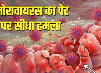 Norovirus Alert | Winter vomiting bugs | norovirus-symptoms-intestine-damage-winter-diarrhea-health-alert-hindi | सर्दी में दस्त लगे तो तुरंत सचेत हो जाएं, वरना पेट की संरचना बिगड़ जाएगी