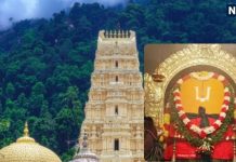 Sri Varaha Lakshmi Narasimha Swamy Devastanam Know why statue is covered in Chandan lep | यहां दो स्वरूपों में विराजमान हैं भगवान विष्णु के उग्र रूप, जानें क्यों साल भर लगा रहता है चंदन का लेप?