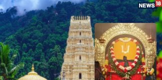 Sri Varaha Lakshmi Narasimha Swamy Devastanam Know why statue is covered in Chandan lep | यहां दो स्वरूपों में विराजमान हैं भगवान विष्णु के उग्र रूप, जानें क्यों साल भर लगा रहता है चंदन का लेप?