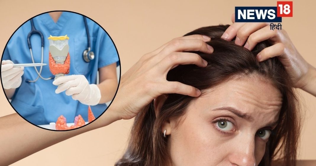 Thyroid Causing Hair Fall: क्या थाइराइड की वजह से झड़ रहे हैं मेरे बाल? जान लें ये असरदार टिप्स, कम होगा हेयर फॉल