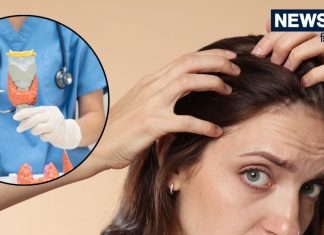 Thyroid Causing Hair Fall: क्या थाइराइड की वजह से झड़ रहे हैं मेरे बाल? जान लें ये असरदार टिप्स, कम होगा हेयर फॉल