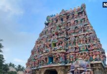 Vaitheeswaran Koil Temple Here Shiv ji is present as god of physicians | यहां चिकित्सक के देवता के रूप में मौजूद महादेव, मंगल ग्रह हैं प्रतिनिधित्व कर्ता, ताड़ के पत्तों पर होती है भविष्यवाणी