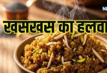 Winter Special Khuskhus Halwa: खसखस का हलवा क्यों है सर्दियों में बेस्ट? जानें इसके फायदे और बनाने की रेसिपी