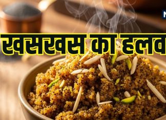 Winter Special Khuskhus Halwa: खसखस का हलवा क्यों है सर्दियों में बेस्ट? जानें इसके फायदे और बनाने की रेसिपी