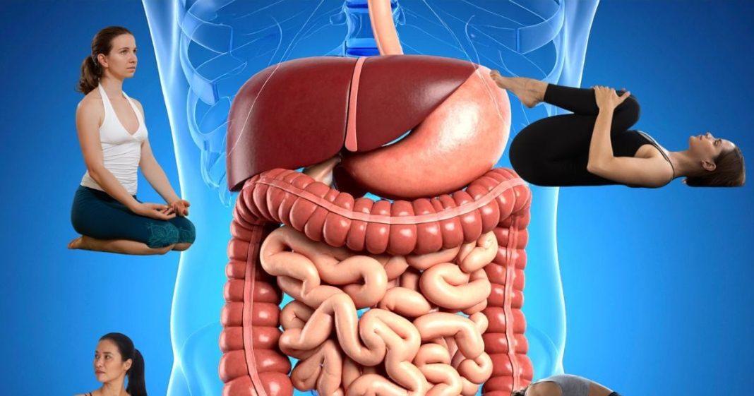 Yoga for Digestion| अपच-कब्ज और गैस की समस्या के लिए रोज करें ये 4 योगासन