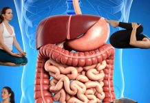 Yoga for Digestion| अपच-कब्ज और गैस की समस्या के लिए रोज करें ये 4 योगासन