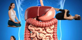Yoga for Digestion| अपच-कब्ज और गैस की समस्या के लिए रोज करें ये 4 योगासन