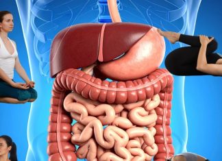 Yoga for Digestion| अपच-कब्ज और गैस की समस्या के लिए रोज करें ये 4 योगासन