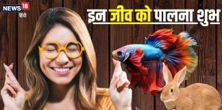 बहुत शुभ होते हैं ये 5 जीव, घर में पालने से दिन-दूनी रात चौगुनी बढ़ेगी तरक्की, धन की भी कभी नहीं होगी कमी!