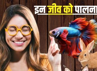 बहुत शुभ होते हैं ये 5 जीव, घर में पालने से दिन-दूनी रात चौगुनी बढ़ेगी तरक्की, धन की भी कभी नहीं होगी कमी!
