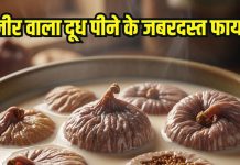 Benefits of Anjeer Milk: अंजीर वाला दूध पीने के फायदे, बनाने का तरीका