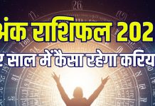 ank jyotish 2026 career horoscope mulank 6 govt job success in business new year | नए साल में मूलांक 6 को मिलेगी सरकारी नौकरी, कौन पाएगा नई जॉब? किसे बिजनेस में होगा मुनाफा, जानें वार्षिक अंक राशिफल 2026