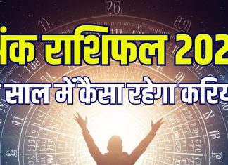 ank jyotish 2026 career horoscope mulank 6 govt job success in business new year | नए साल में मूलांक 6 को मिलेगी सरकारी नौकरी, कौन पाएगा नई जॉब? किसे बिजनेस में होगा मुनाफा, जानें वार्षिक अंक राशिफल 2026
