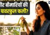 एक पावरफुल फली… जिसमें हड्डियों से लेकर पाचन तक का छिपा है इलाज, जानिए इस औषधि के चौंकाने वाले फायदे