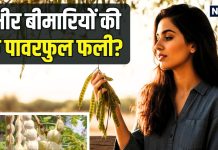 एक पावरफुल फली… जिसमें हड्डियों से लेकर पाचन तक का छिपा है इलाज, जानिए इस औषधि के चौंकाने वाले फायदे