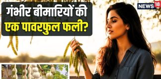 एक पावरफुल फली… जिसमें हड्डियों से लेकर पाचन तक का छिपा है इलाज, जानिए इस औषधि के चौंकाने वाले फायदे